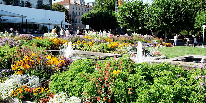 bodensee-fuentes-naturaleza-deportes