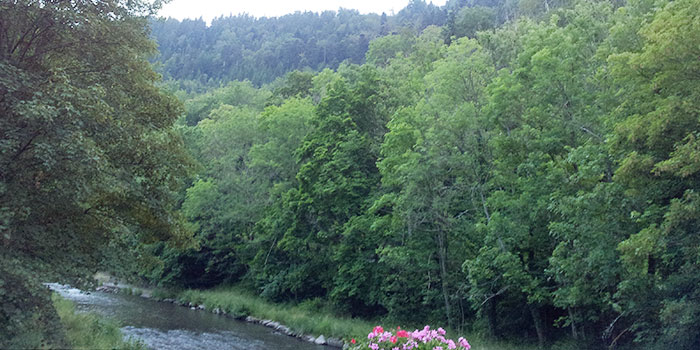 calw-selva-negra-naturaleza-alemania