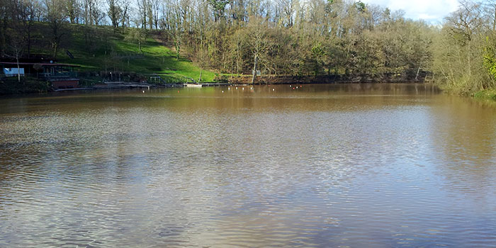 maulbronn-naturaleza-lagos-alemania