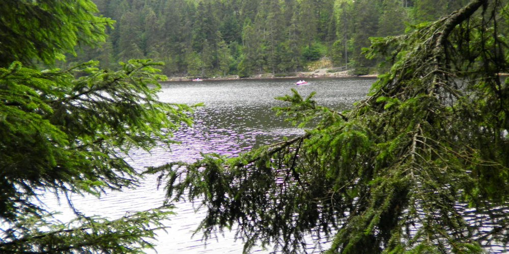 mummelsee-naturaleza-don-viajon-alemania