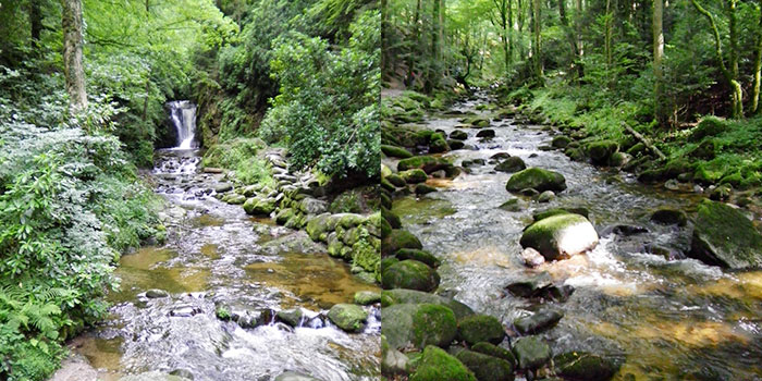 mummelsee-rios-montañismo-donviajon-alemania