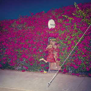 album-nuevo-feist-pleasure