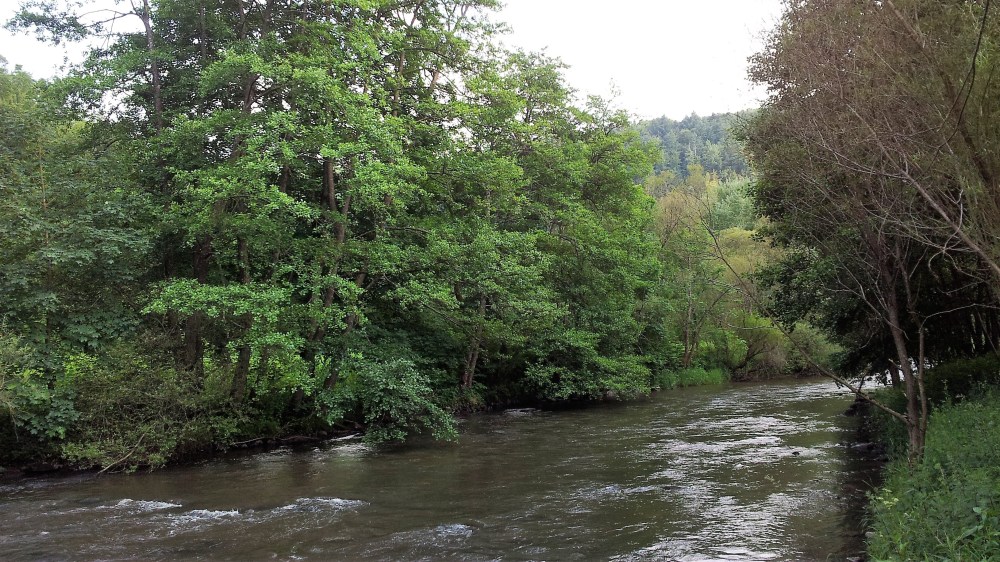 nordschwarzwaldtag-donviajon-selva-negra-alemania-turismo