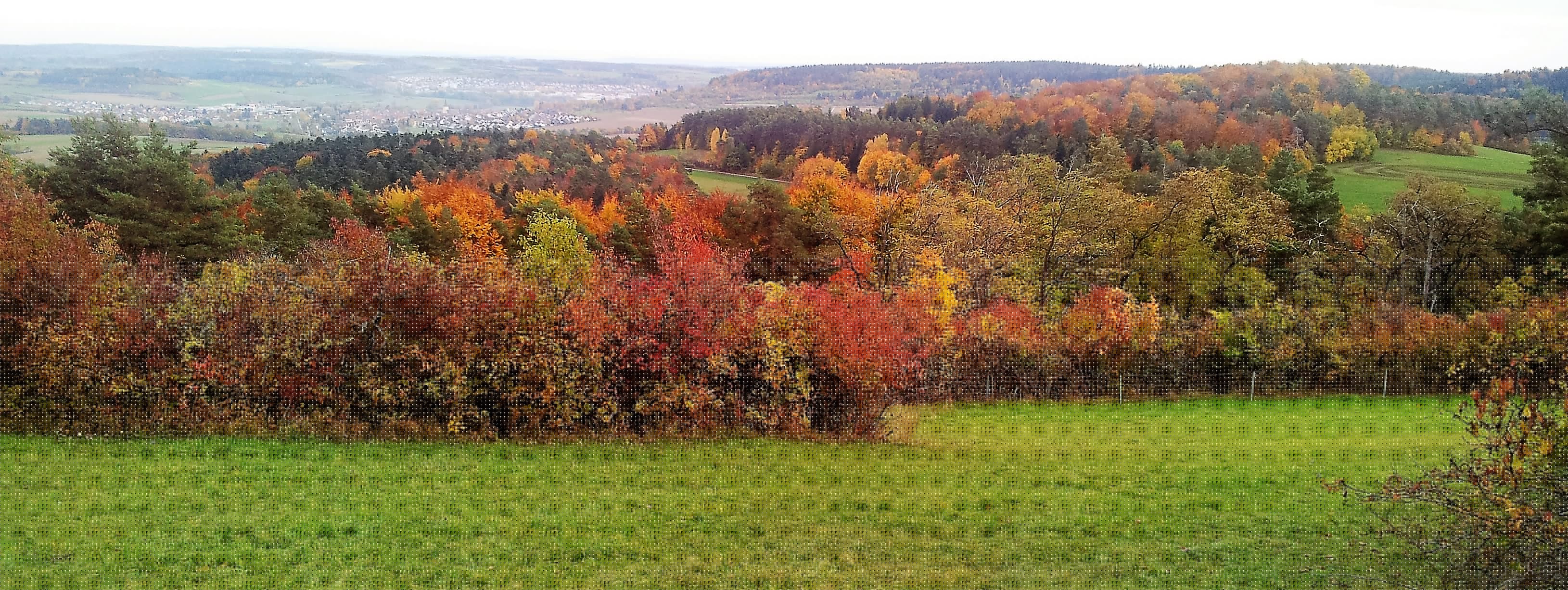 selva-negra-don-viajon-nordschwarzwaldtag-aventura-alemania