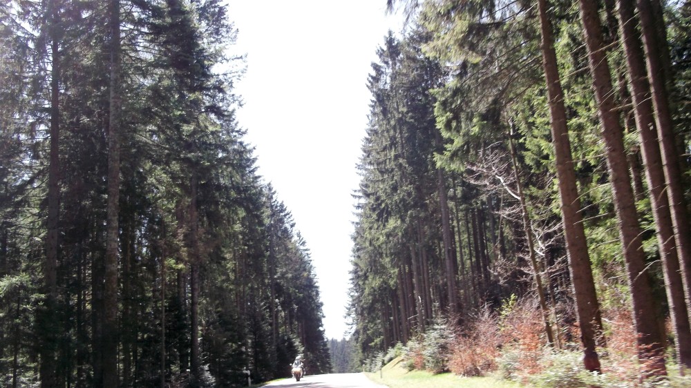 Baden-Wurttemberg-carreteras-don-viajon-bosques-alemania