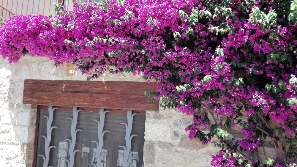 Besalu-jardines-naturaleza-don-viajon-espana