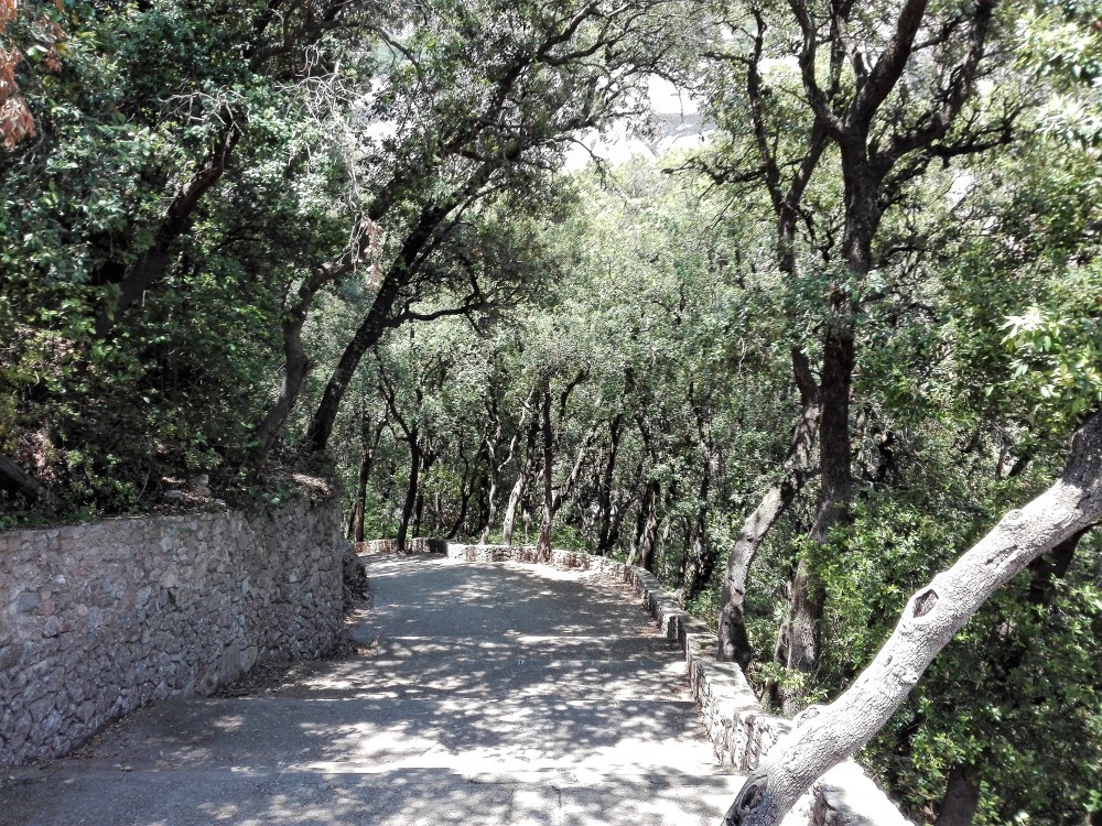 Montserrat-rutas-senderismo-don-viajon-naturaleza-catalunya