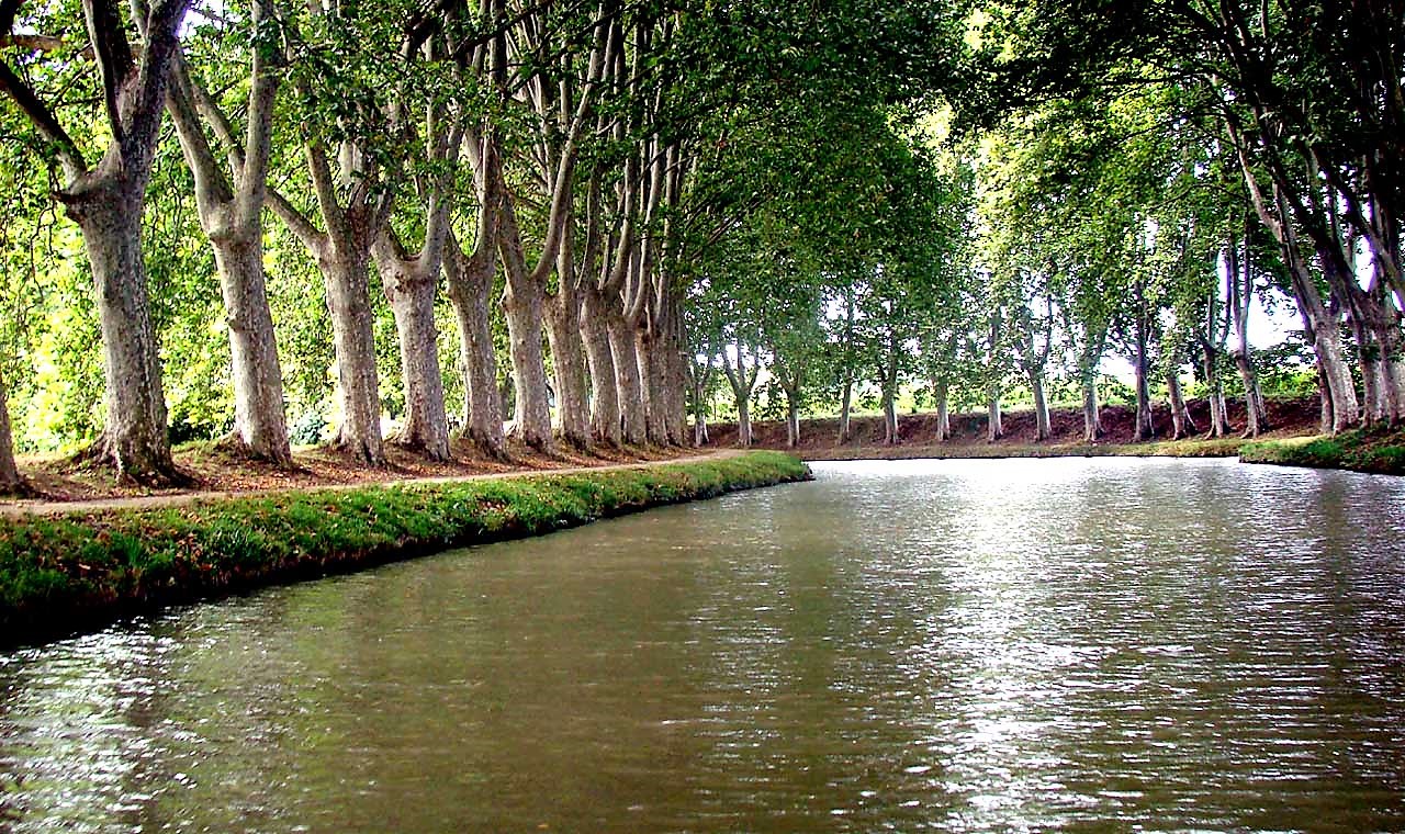 canal-del-mediodia-carcassonne-navigationcroisiere-naturaleza-languedoc-francia