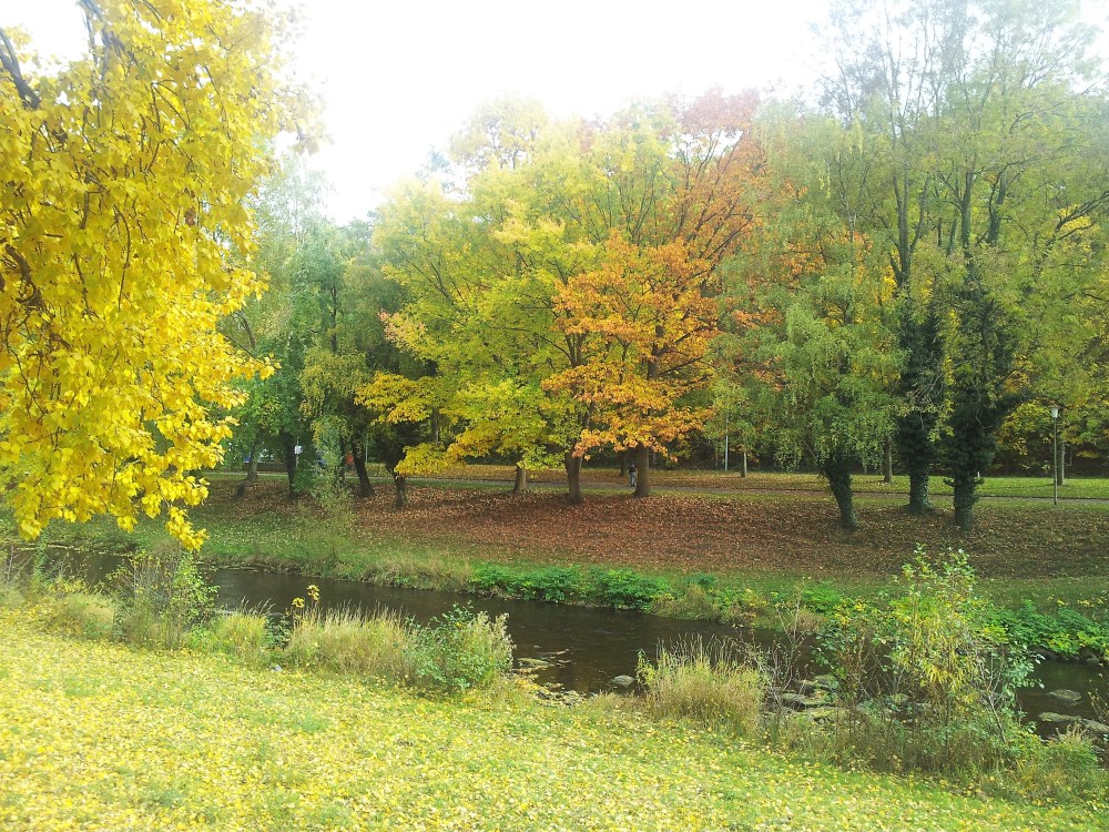 herbst-rio-enz-donviajon-bosques-selva-negra-alemania