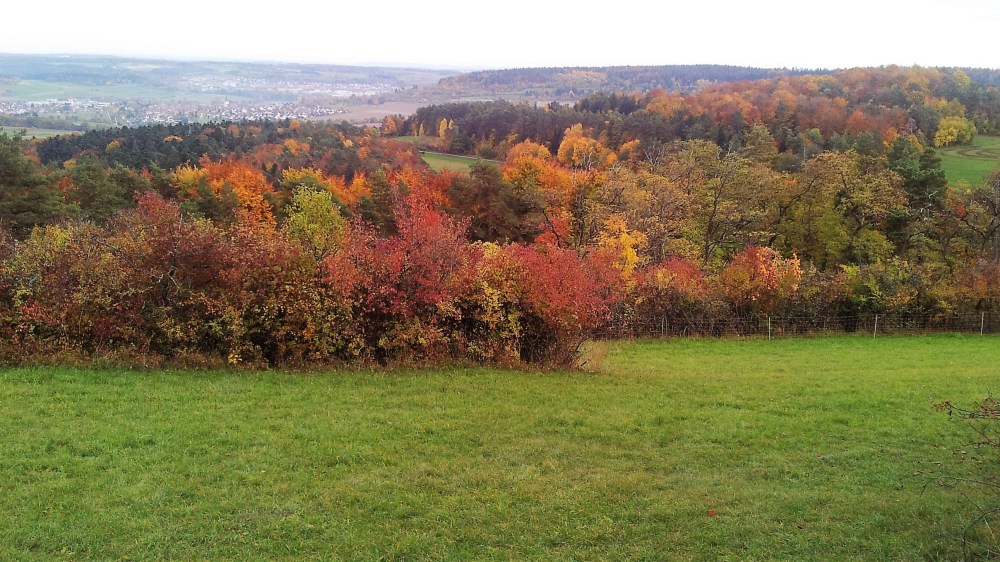 montes-suabos-donviajon-alemania-otono-naturaleza-herbst