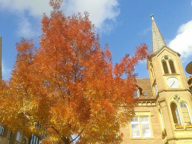 otono-cambio-de-hora-donviajon-europa