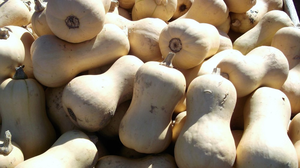 festival-de-la-calabaza-donviajon-butternut-palacio-ludwigsburg-diversion-alemania