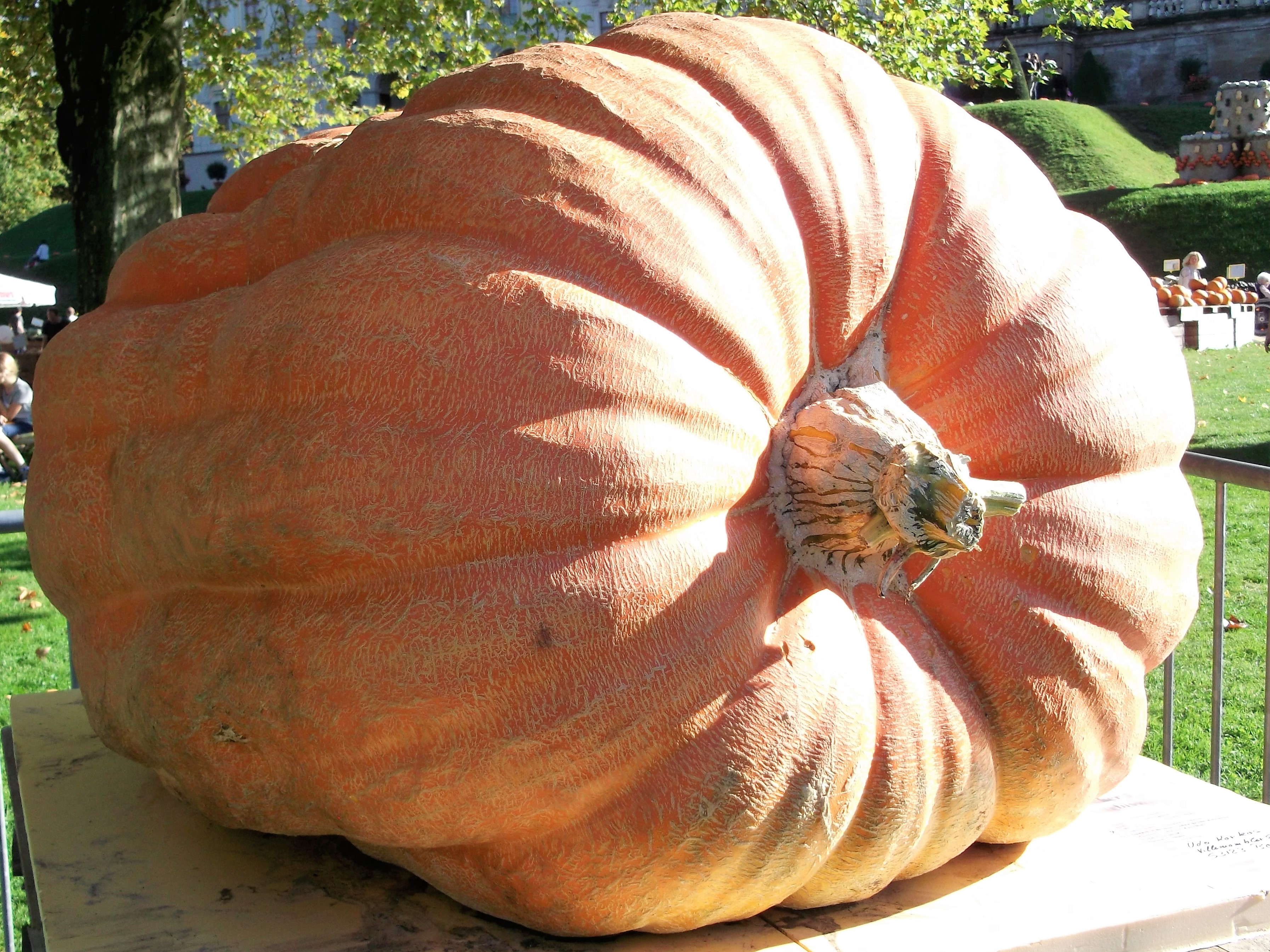 festival-de-la-calabaza-donviajon-tradiciones-alemania-festejos-kurbis