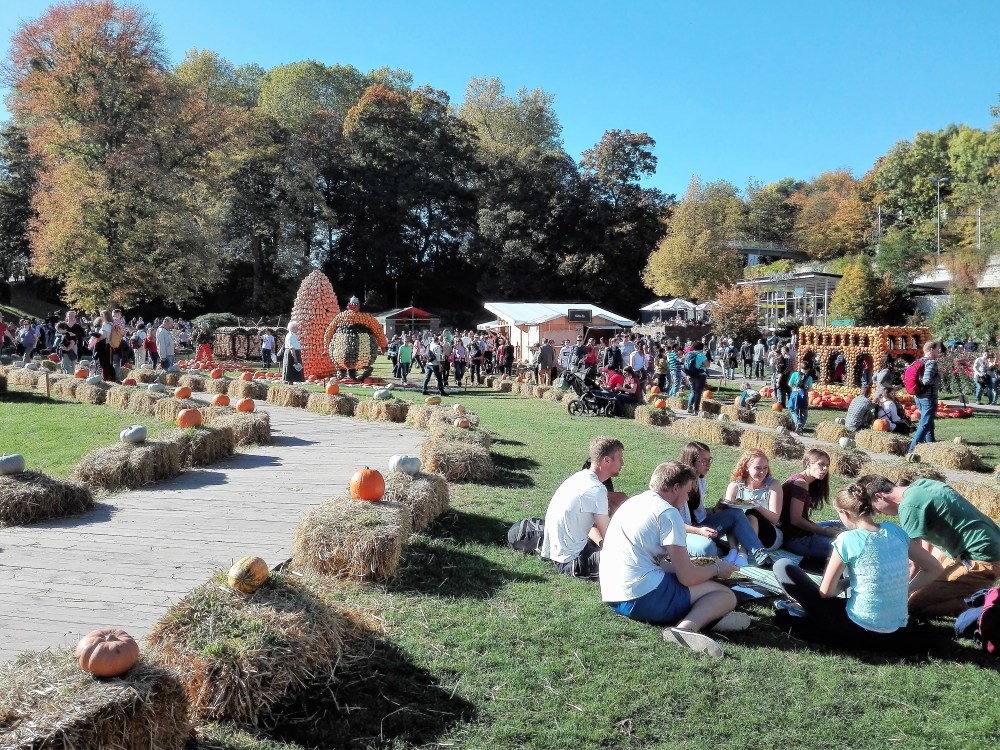 kuerbisausstellung-donviajon-festival-europeo-de-la-calabaza-diversion-familia-cultura-ludwigsburg-alemania