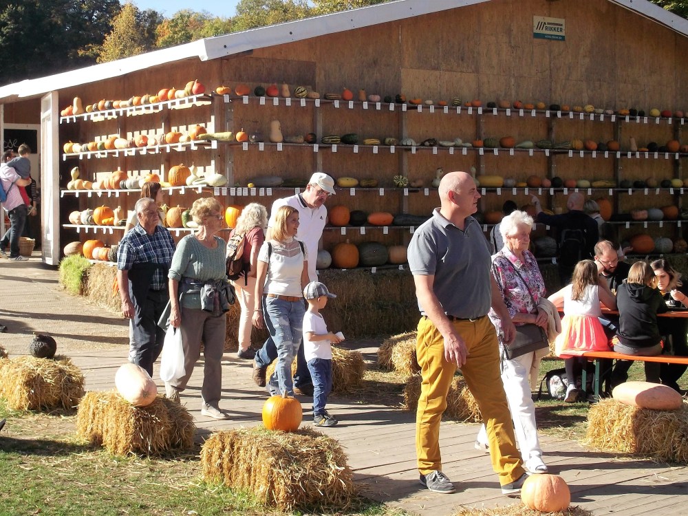 kuerbisausstellung-donviajon-palacio-ludwigsburg-festivales-de-otono-alemania