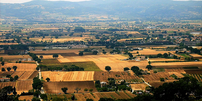 Asis-umbria-perugia-donviajon-naturaleza-cultivos-de-olivos-turismo-aventura-italia