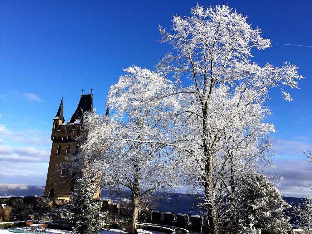 Castillo-de-Hohenzollern-donviajon-viajando-con-pasion-naturaleza-invierno-jura-de-suabia-alemania
