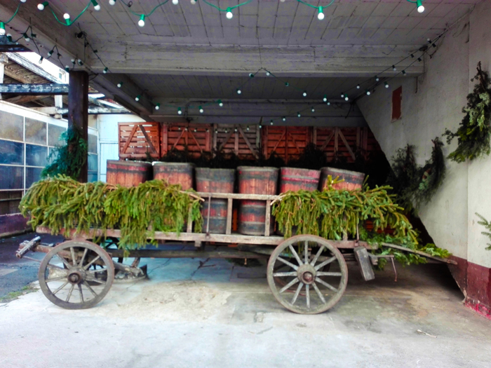 Ribeauville-donviajon-pueblos-bonitos-de-alsacia-transporte-en-carreta-turismo-cultural-francia