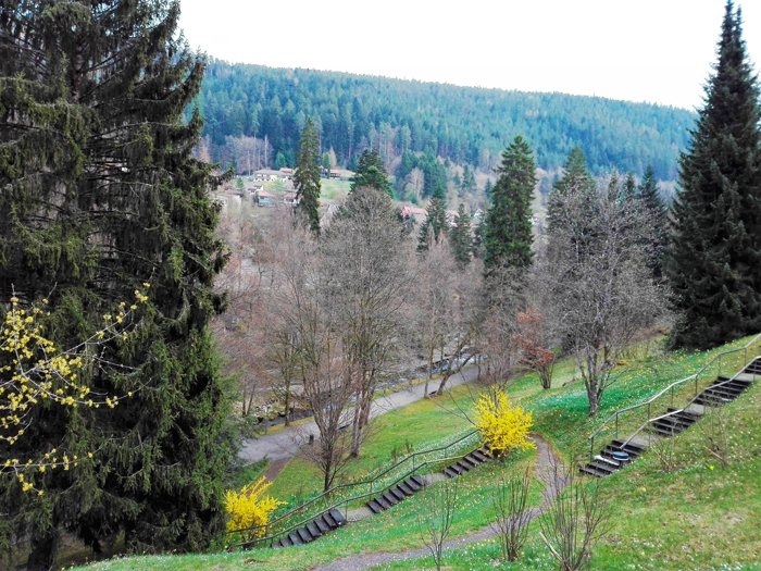 BadWildbad-Kurpark-donviajon-turismo-aventura-naturaleza-parque-de-sanacion-Selva-Negra-Alemania- Baden-Wurttemberg