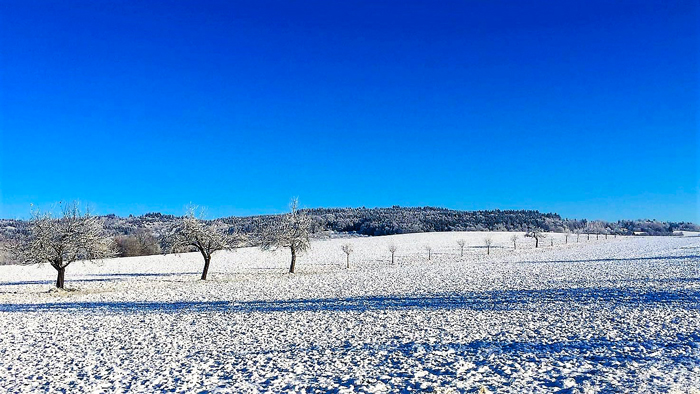 Invierno-donviajon-paisajes-nevados-bonitos-turismo-aventura-naturaleza-selva-negra-alemania