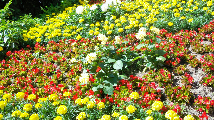 Stuttgart-primavera-donviajon-turismo-de-compras-cultural-en-Baden-Wurttemberg-Alemania