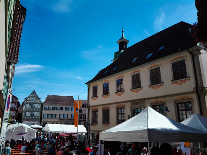 Vaihingen-an-der-Enz-donviajon-festivales-de-otono-turismo-cultural-gastronomico-Baden-Wurttemberg-Alemania