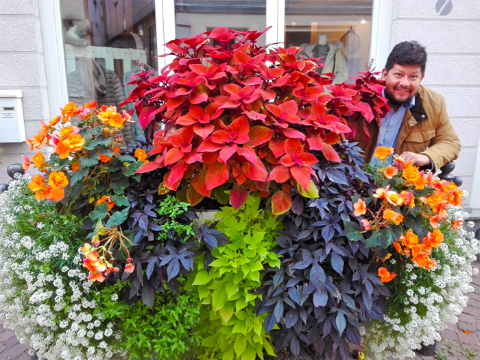 Besigheim-ruta-casas-de-entramado-de-madera-en-colores-don-viajon-turismo-cultural-baden-wurttemberg-alemania