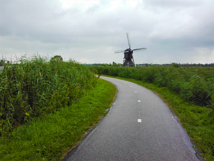 Kinderdijk-don-viajon-turismo-senderismo-ciclismo-Holanda
