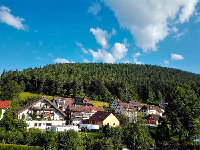 Enzkloesterle-Selva-Negra-don-viajon-turismo-rural-recreativo-senderismo-valle-del-rio-Enz-Baden-Wurttemberg-Alemania