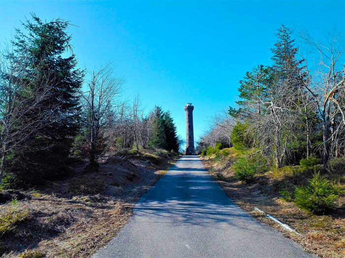 Hohlohturm-Kaiser-Wilhelm-Kaltenbronn-don-viajon-turismo-rural-recreativo-aventura-naturaleza-Selva-Negra-Alemania