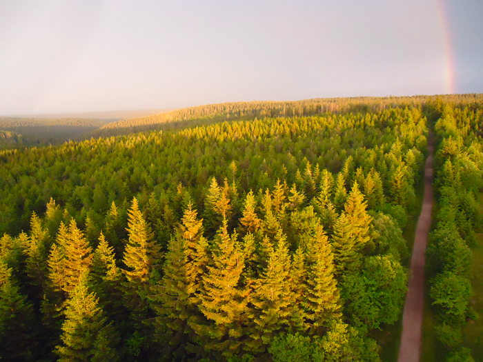 Kaltenbronn-Selva-Negra-Don-Viajon-turismo-rural-recreativo-senderismo-ciclismo-aventura-Baden-Wurttemberg-Alemania