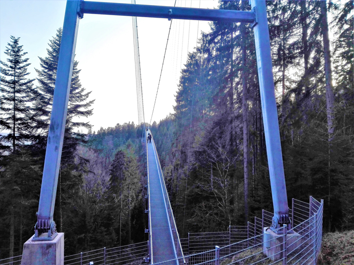 Bad-Wildbad-puente-colgante-en-la-Selva-Negra-don-viajon-turismo-aventura-naturaleza-Alemani