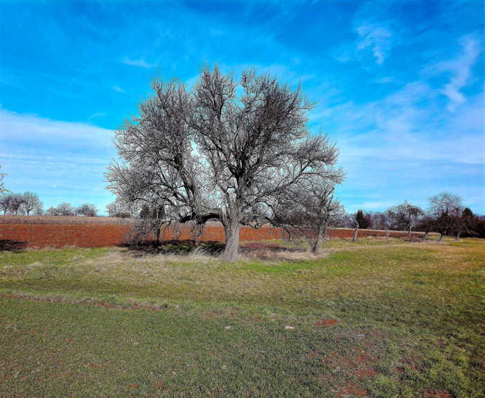 Birkenfeld-praderas-en-invierno-turismo-don-viajon-aventura-naturaleza-Alemania