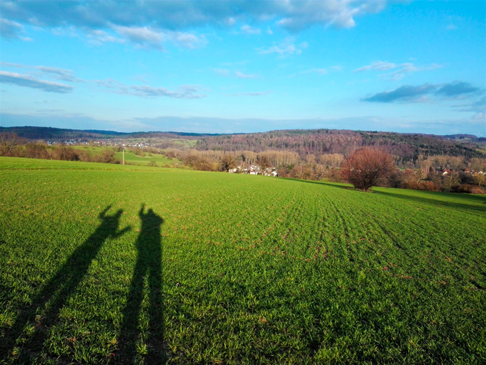 Distrito-del-Enz-campos-en-invierno-don-viajon-viajando-con-pasion-turismo-Baden-Wurttemberg-Alemania
