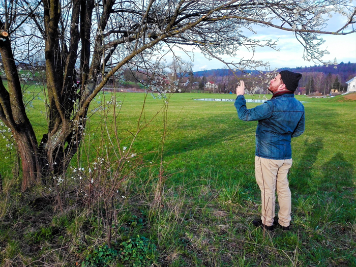 floracion-en-invierno-don-viajon-turismo-recreativo-senderismo-naturaleza-valle-del-Enz-Alemania