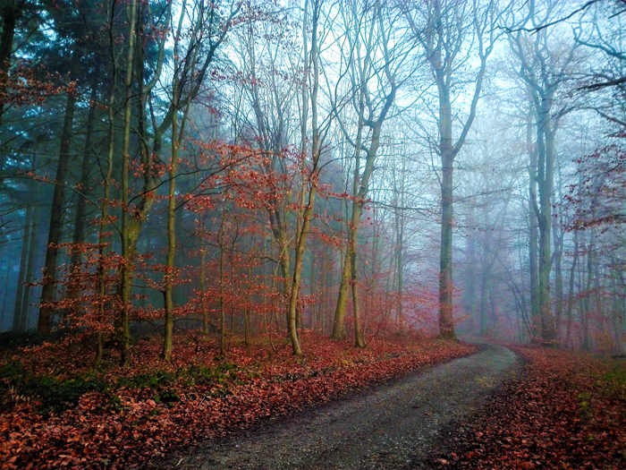 Heidelsheim-tiempo-de-invierno-don-viajon-turismo-aventura-en-la-naturaleza-Suabia-Baden-Wurttemberg-Alemania