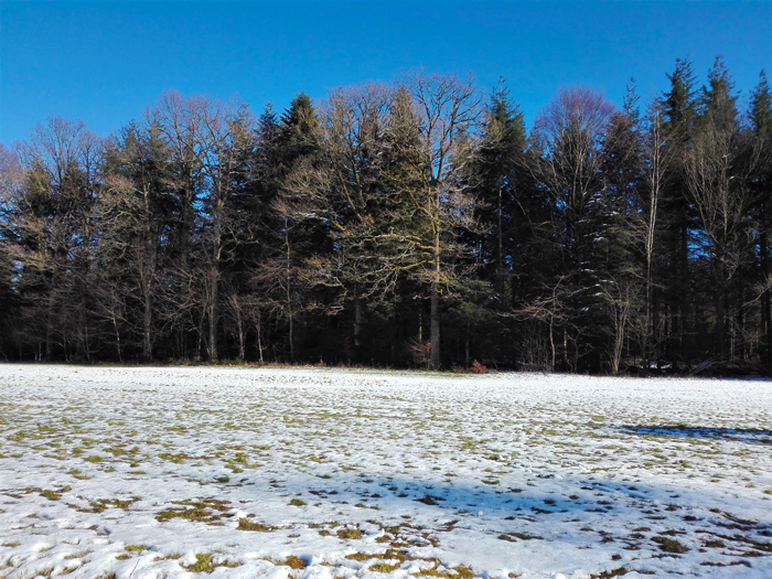 invierno-en-la-Selva-Negra-Engelsbrand-don-viajon-turismo-aventura-naturaleza-Alemania