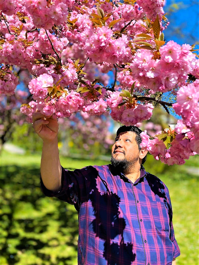 Bad-Rappenau-don-viajon-turismo-urbano-recreativo-senderismo-Heilbronn-Baden-Wurttemberg-Alemania