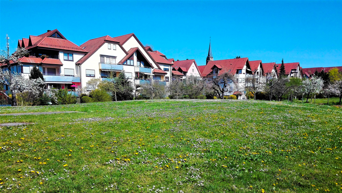 Bad-Rappenau-primavera-en-el-Neckar-don-viajon-turismo-recreativo-naturaleza-senderismo-Baden-Wurttemberg-Alemania