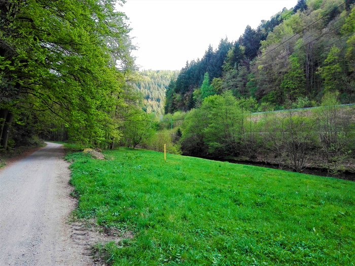 Pforzheim-valle-del-rio-Enz-don-viajon-turismo-urbano-primavera-senderismo-Baden-Wurttemberg-Alemania