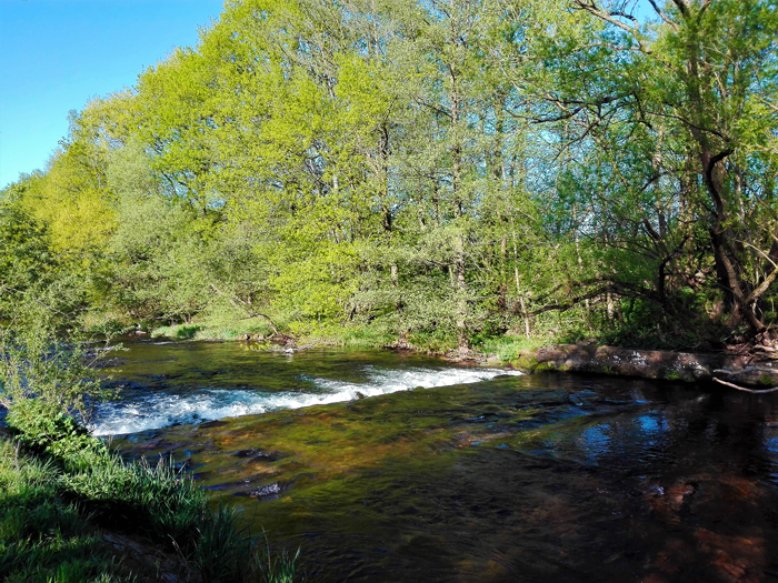 Valle-del-rio-Enz-don-viajon-turismo-recreativo-aventura-rutas-senderismo-Pforzheim-Selva-Negra-Alemania