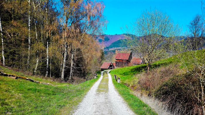 Weisenbach-el-camino-de-las-cabanas-don-viajon-turismo-senderismo-ciclismo-naturaleza-pura-Selva-Negra-Baden-Wurttemberg-Alemania